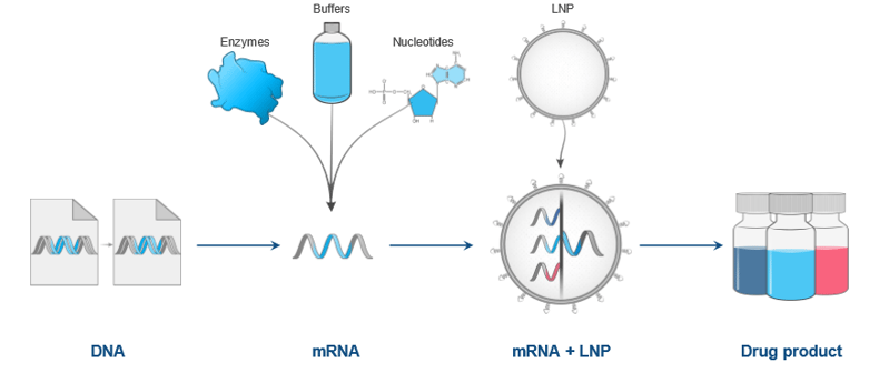 mRNA-Manyfacturing